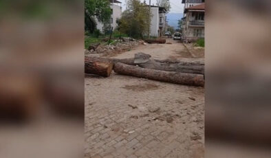 Aydın Karacasu’da Tapulu Arazi İddiası: Mahalle Yolu Kapatıldı, Ulaşım Durdu