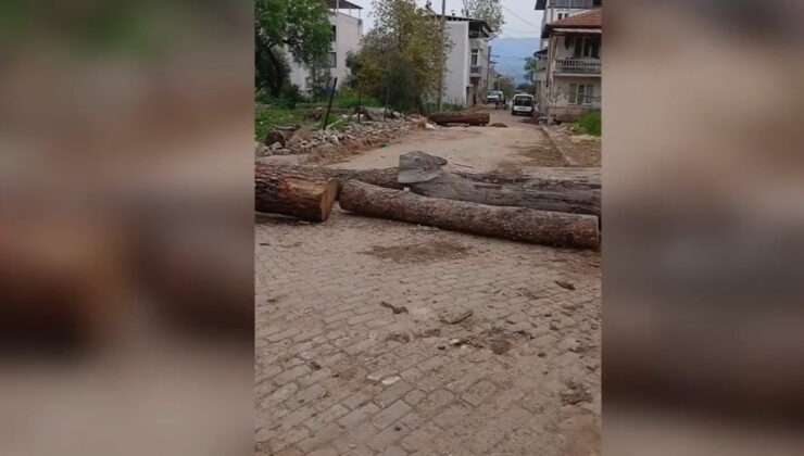 Aydın Karacasu’da Tapulu Arazi İddiası: Mahalle Yolu Kapatıldı, Ulaşım Durdu