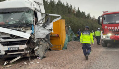TEM Otoyolu’nda Feci Kaza: LPG Tankeri ve Tırların Karıştığı Zincirleme Kazada 2 Ölü, Ankara Yönü Kapandı