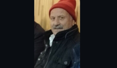 Arı Sokması Sonucu Acı Kayıp: Rize’de Yaşlı Adam Hayatını Kaybetti