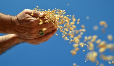 GAP’a Yeniden Odaklanma: Gıda Güvenliği İçin Hayati Bir Proje