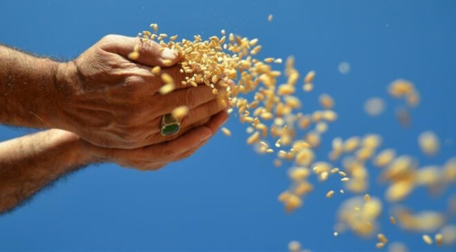 GAP’a Yeniden Odaklanma: Gıda Güvenliği İçin Hayati Bir Proje