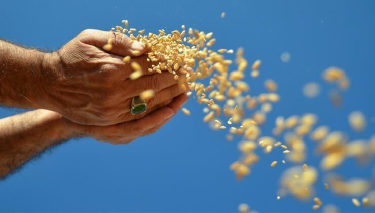 GAP’a Yeniden Odaklanma: Gıda Güvenliği İçin Hayati Bir Proje