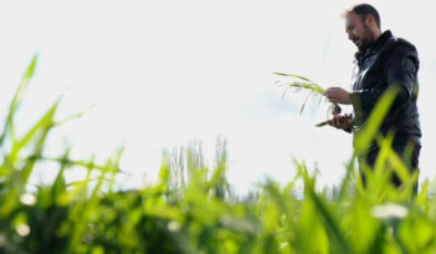 Çorumlu Ziraat Mühendisi Yapay Zeka Destekli Mobil Uygulama Geliştirdi: Çiftçilerin Tarladaki Problemlerine Anında Çözüm