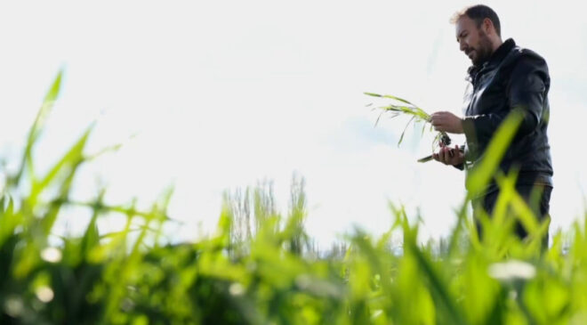 Çorumlu Ziraat Mühendisi Yapay Zeka Destekli Mobil Uygulama Geliştirdi: Çiftçilerin Tarladaki Problemlerine Anında Çözüm