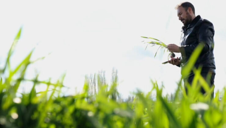 Çorumlu Ziraat Mühendisi Yapay Zeka Destekli Mobil Uygulama Geliştirdi: Çiftçilerin Tarladaki Problemlerine Anında Çözüm