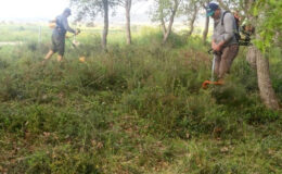 Gelibolu’da Tarihi Dokunuş: Baba Adilhan Şehitliği ve Çevresinde Düzenleme Çalışmaları Başladı