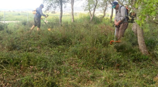 Gelibolu’da Tarihi Dokunuş: Baba Adilhan Şehitliği ve Çevresinde Düzenleme Çalışmaları Başladı