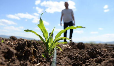 Gübrede Kritik Adım: Amonyum Nitrat ve Monoamonyum Fosfatın Gümrük Vergisi Sıfırlandı