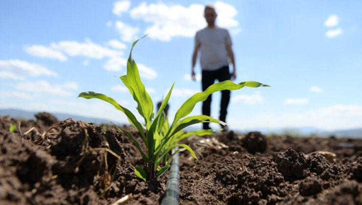 Gübrede Kritik Adım: Amonyum Nitrat ve Monoamonyum Fosfatın Gümrük Vergisi Sıfırlandı
