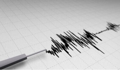 Bingöl Yedisu’da 4.4 Büyüklüğünde Deprem: Sarsıntı Çevre İllerde Hissedildi, Sevgi Sevil Cinayetinde Gelişme