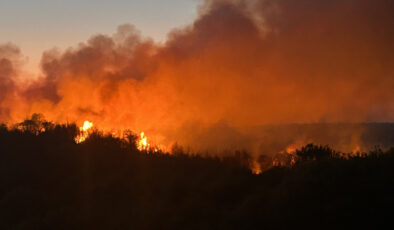 Beykoz’da Orman Yangını Kontrol Altında: 3 Hektarlık Alan Zarar Gördü