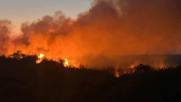 Beykoz’da Orman Yangını Kontrol Altında: 3 Hektarlık Alan Zarar Gördü