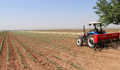 Gıda ve Tarım Sektörüne Destek: Gübre Gümrük Vergileri Sıfırlandı, Arz Güvenliği Sağlanıyor