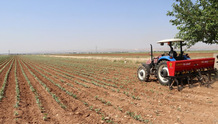 Gıda ve Tarım Sektörüne Destek: Gübre Gümrük Vergileri Sıfırlandı, Arz Güvenliği Sağlanıyor