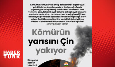 Kömür Tüketiminde Çin’in Ağırlığı: Küresel Kömürün Yarısını Tek Başına Yakıyor