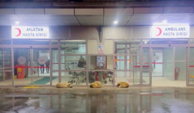 Gülistan Doku Soruşturmasında Yeni Gelişmeler: Hastane Kayıtları ve Tutuklamalar