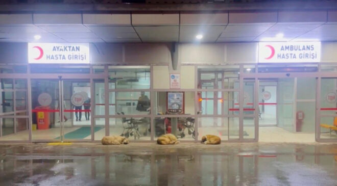 Gülistan Doku Soruşturmasında Yeni Gelişmeler: Hastane Kayıtları ve Tutuklamalar