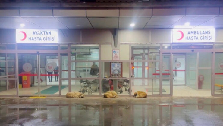 Gülistan Doku Soruşturmasında Yeni Gelişmeler: Hastane Kayıtları ve Tutuklamalar