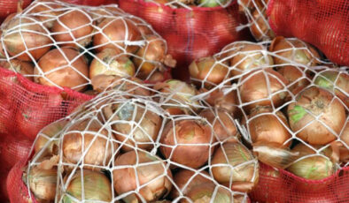 Türkiye’nin Kuru Soğan İhracatı Rekor Seviyede Artış Gösterdi: Hedef 100 Milyon Dolar