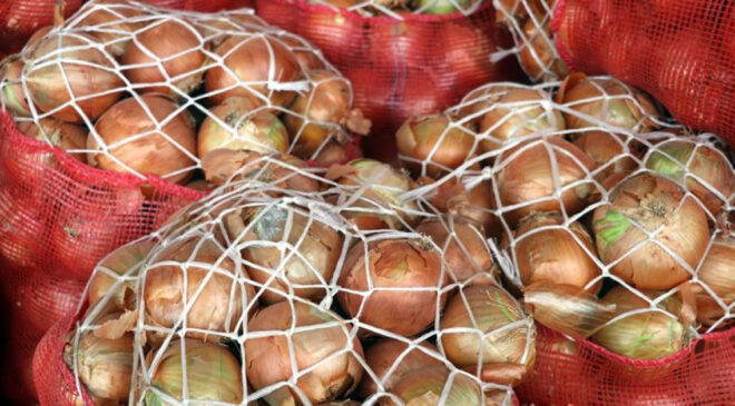 Türkiye’nin Kuru Soğan İhracatı Rekor Seviyede Artış Gösterdi: Hedef 100 Milyon Dolar