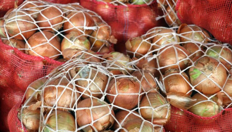 Türkiye’nin Kuru Soğan İhracatı Rekor Seviyede Artış Gösterdi: Hedef 100 Milyon Dolar