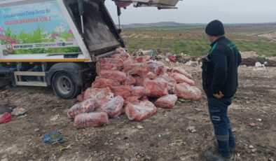 Nizip’te Sağlıksız Koşullarda Taşınan 1.6 Ton Sakatat İmha Edildi: Sürücü Gözaltında