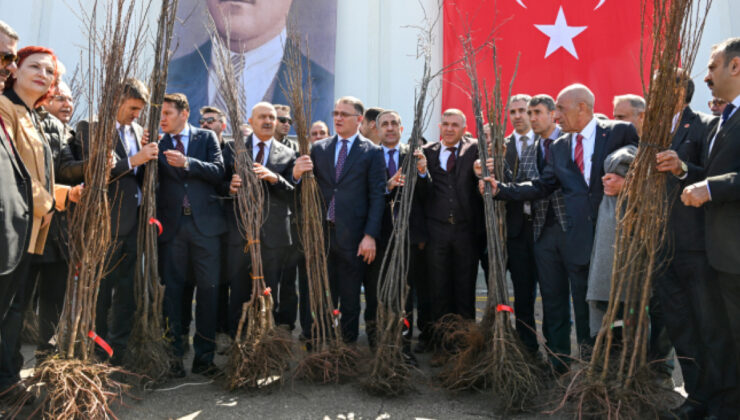 Van’da Meyvecilik Hamlesi: 4 Yıl İçinde 4.5 Milyon Fidan Toprakla Buluştu