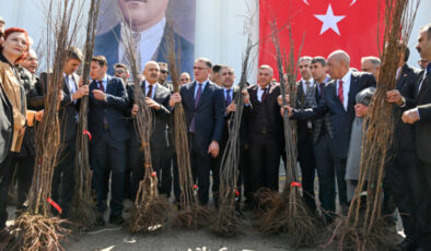 Van’da Meyvecilik Hamlesi: 4 Milyon Fidan Toprakla Buluştu, İstihdam Arttı