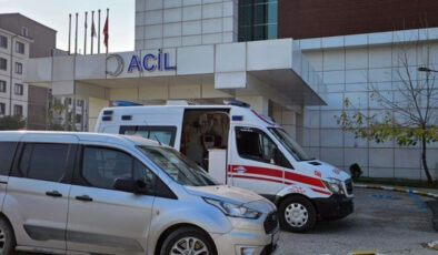 Arnavutköy’de TIR Kazası: Yaya Sadegül Koyuncu Hayatını Kaybetti – Kaza Anı Kamerada