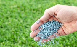 GUBRF’den Açıklama: İran’daki Razi Petrochemical Co. Tesisleri Saldırı Nedeniyle Üretimi Durdurdu