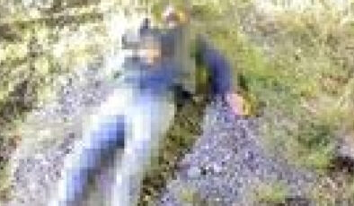 Artvin’de İstinat Duvarından Düşen Şahıs Hayatını Kaybetti: Olay Yerinde Yaşamını Yitiren Kişinin Kimliği Belli Oldu