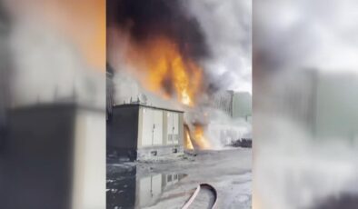 Adana’da Geri Dönüşüm Fabrikasında Yangın: Gökyüzünü Dumanlar Kapladı