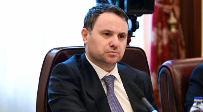 Adana Merkezli “Bayğaralar” Organize Suç Örgütüne Büyük Darbe: 287 Şüpheli Yakalandı