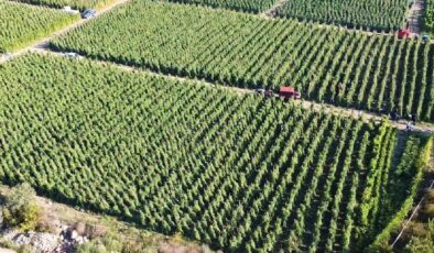 Bakan Yumaklı’dan Çiftçilere Müjde: 12.8 Milyar TL Tarımsal Destek Ödemeleri Başlıyor!