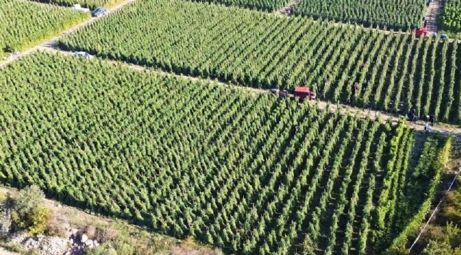 Bakan Yumaklı’dan Çiftçilere Müjde: 12.8 Milyar TL Tarımsal Destek Ödemeleri Başlıyor!