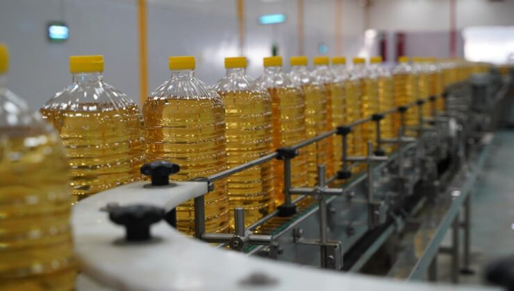 Türkiye’nin Ayçiçeği Yağı İhracatı Rekor Kırdı: İlk Çeyrekte Değerde %17,2 Artış