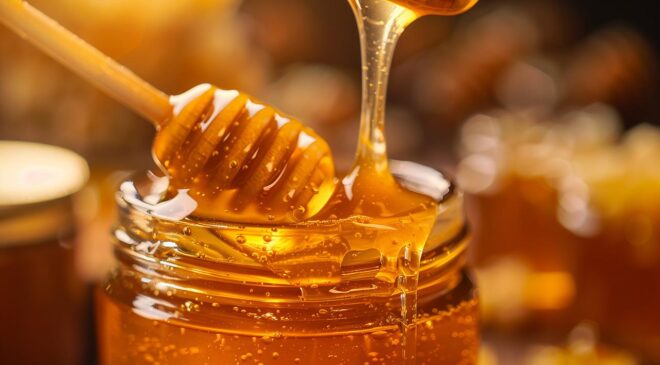 Türk Balı 31 Ülkeye İhraç Edildi: Gelir 9 Milyon Doları Aştı