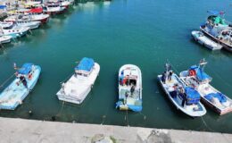 Balıkçılar Umduğunu Bulamadı: Batı Karadeniz ve Kocaeli’de Zorlu Bir Sezon Geride Kaldı