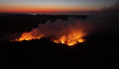 Beykoz’da Orman Yangını Kontrol Altına Alındı: Soğutma Çalışmaları Devam Ediyor