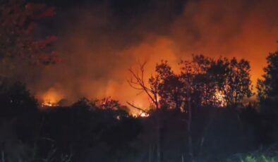 Beykoz’da Orman Yangını Kontrol Altına Alındı, Soğutma Çalışmaları Devam Ediyor