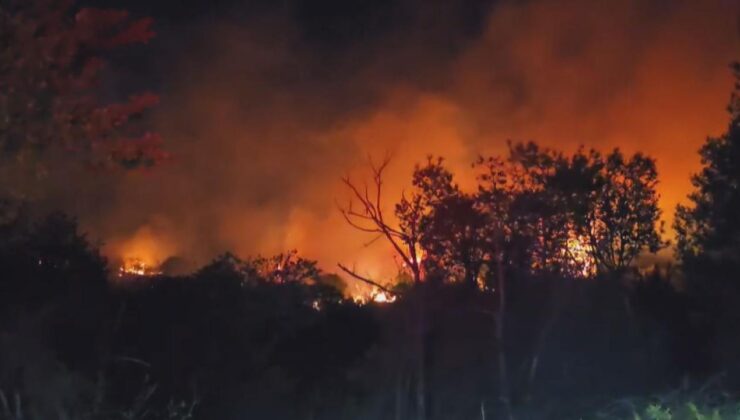 Beykoz’da Orman Yangını Kontrol Altına Alındı, Soğutma Çalışmaları Devam Ediyor