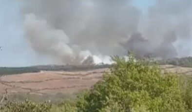 Beykoz Kılıçlı’da Orman Yangını: İtfaiye Ekipleri Alevlere Müdahale Ediyor