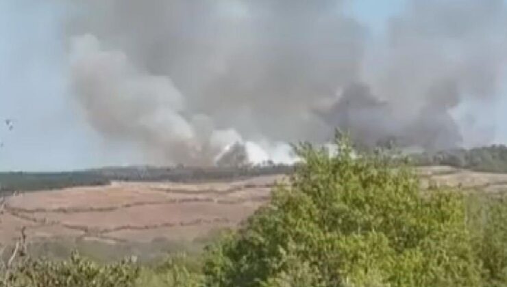 Beykoz Kılıçlı’da Orman Yangını: İtfaiye Ekipleri Alevlere Müdahale Ediyor