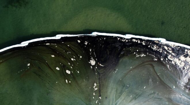 Anvers Limanı’nda Petrol Sızıntısı: Gemi Trafiği Durdu, Temizlik Çalışmaları Başlatıldı