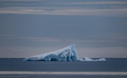 Arktik Deniz Buzunda Rekor Düşüş: İklim Değişikliğinin Acımasız Yüzü