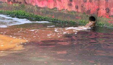 Denizlerde Kirlilik Denetimleri Sürüyor: Milyonluk Cezalar Yağdı