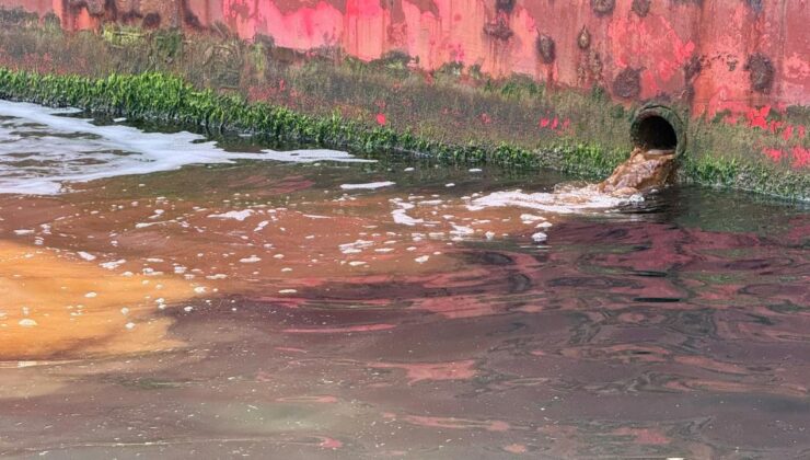 Denizlerde Kirlilik Denetimleri Sürüyor: Milyonluk Cezalar Yağdı