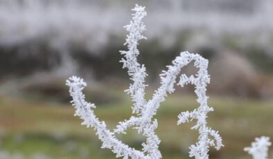 Meteoroloji’den Kritik Uyarı: Yurt Genelinde Yağış, Don ve Kuvvetli Rüzgar Bekleniyor