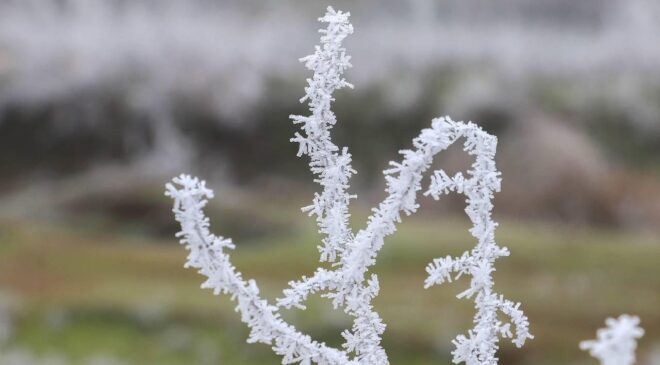 Meteoroloji’den Kritik Uyarı: Yurt Genelinde Yağış, Don ve Kuvvetli Rüzgar Bekleniyor